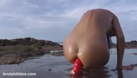 ������ ����� ��������� ���������