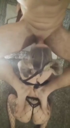 �������� ����� ��������� ���������� �� ����� ����